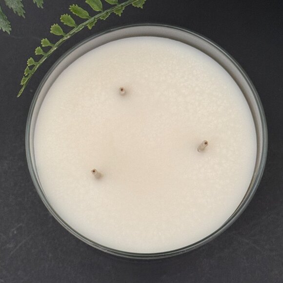 BBW Ocean Bath & Body Works 3 Wick Candle - Picture 7 of 10